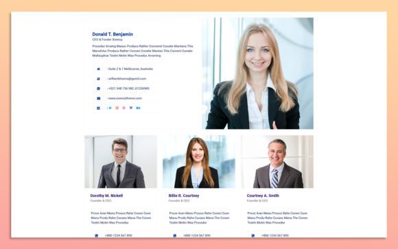 Evaluating the 9.Team Member Widget Design Elements for Modern Web Interfaces