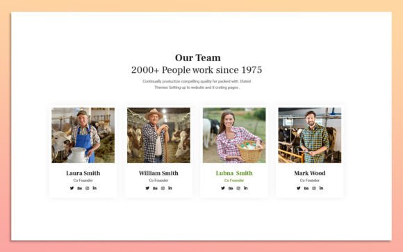 Mastering Team Presentation with the 20.Team Member Widget Design