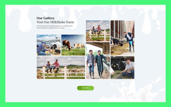 Mastering Your Digital Presence with 11 Portfolio UI Elements